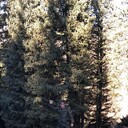  ,   , 59 ,     , c 