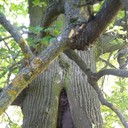  ,   , 61 ,   ,   , c 