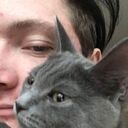 ���������� �����������, ���� ����� �����, 24 ����, ������������ ��� ������, ����� � ���������, c�������� ���������