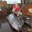 ���������� �����������, ���� ������� �����, 42 ����, ������������ ��� ������, ����� � ���������, c�������� ���������