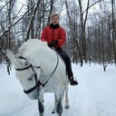 ���������� �����, ���� ������� �����, 44 ����, ������������ ��� ����� � ���������