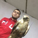 ���������� ������, ���� ������� ������, 29 ���, ������������ ��� ������, ����� � ���������