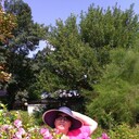 ���������� ������-��-����, ���� ������� �����, 52 ����, ������������ ��� ������, ����� � ���������, c�������� ���������, ���������