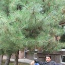 ���������� ��������, ���� ������� �����, 51 ���, ������������ ��� ������, ����� � ���������, c�������� ���������