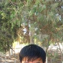 ���������� �����������, ���� ������� ������, 38 ���, ������������ ��� ������, ����� � ���������, c�������� ���������, ���������