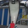  ,   Sanya, 48 ,     , c 