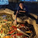 ���������� �������, ���� ������� Yanik, 44 ����, ������������ ��� ������, ����� � ���������, c�������� ���������