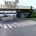 ���������� ����, ���� ������� SHOTA, 40 ���, ������������ 