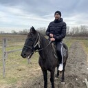 ���������� ���������, ���� ������� ��������, 39 ���, ������������ ��� ������, ����� � ���������