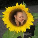  ,   , 61 ,     , c 