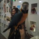 ���������� ������, ���� ������� ������, 45 ���, ������������ ��� ������, ����� � ���������, c�������� ���������