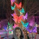 ���������� �����, ���� ������� ��������, 49 ���, ������������ ��� ������, ����� � ���������