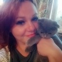 ���������� ����, ���� ������� �������, 36 ���, ������������ ��� ������, ����� � ���������, c�������� ���������