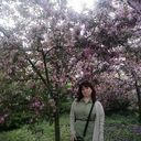 ���������� ���������, ���� ������� ����, 41 ���, ������������ ��� ������, ���������