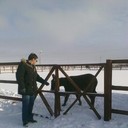 ���������� ������, ���� ������� �������, 43 ����, ������������ ��� ������, ����� � ���������, c�������� ���������