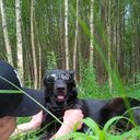 ���������� ������, ���� ������� ���������, 46 ���, ������������ ��� ������, ����� � ���������, c�������� ���������