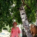 ���������� ����������, ���� ������� ���������, 55 ���, ������������ ��� ������, ����� � ���������, c�������� ���������