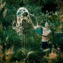  -,   , 36 ,   ,   , c 