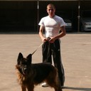 ���������� �������, ���� ������� Gosa, 38 ���, ������������ ��� ������, ����� � ���������, c�������� ���������