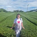 ���������� ����������, ���� ������� �������, 68 ���, ������������ ��� ����� � ���������