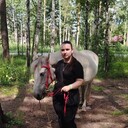 ���������� ������, ���� ������� ����, 27 ���, ������������ ��� ������, ����� � ���������, c�������� ���������