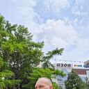 ���������� ���������, ���� ������� Vincent, 46 ���, ������������ ��� ������, ����� � ���������, ���������