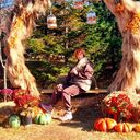 ���������� �����������, ���� ������� �����, 43 ����, ������������ ��� ������, ����� � ���������