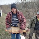  ,   , 66 ,   ,   