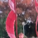 ���������� �����-���������, ���� ������� ������, 69 ���, ������������ ��� ������, ����� � ���������, c�������� ���������