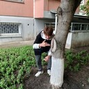 ���������� ���������, ���� ����� �����, 20 ���, ������������ ��� ������, ����� � ���������