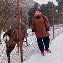 ���������� ���������, ���� ������� �����, 55 ���, ������������ ��� ����� � ���������, c�������� ���������, ���������