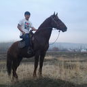  -,   , 29 ,   ,   , c 