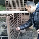 ���������� ������������, ���� ������� ������, 50 ���, ������������ ��� ������, ����� � ���������, c�������� ���������