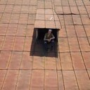 ���������� �����, ���� ������� �����, 45 ���, ������������ ��� ������, ����� � ���������, ���������