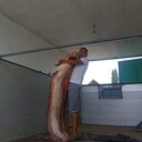  ,   , 41 ,   ,   , 