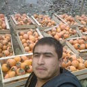  ,   Sardor, 38 ,   ,   , c 