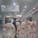  ,   , 55 ,   ,   , c 