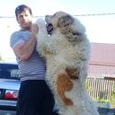  ,   , 45 ,   ,   , c , 