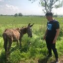 ���������� ���, ���� ������� �������, 48 ���, ������������ ��� ������, ����� � ���������, c�������� ���������