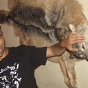 ���������� ������, ���� ������� �������, 45 ���, ������������ ��� ������