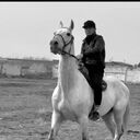 ���������� �����-���������, ���� ������� �����, 36 ���, ������������ ��� ������, ����� � ���������, c�������� ���������