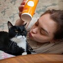 ���������� �����������, ���� ������� �����, 28 ���, ������������ ��� ������, ����� � ���������