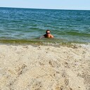 ���������� ������, ���� ������� ������, 41 ���, ������������ ��� ������, ����� � ���������, c�������� ���������, ���������