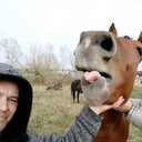 ���������� �������, ���� ������� �����, 48 ���, ������������ ��� c�������� ���������