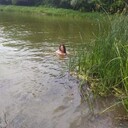 ���������� �������, ���� ������� �������, 50 ���, ������������ ��� c�������� ���������