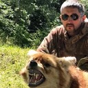 ���������� ���������, ���� ������� ������, 40 ���, ������������ ��� ������, ����� � ���������, c�������� ���������