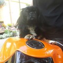  ,   Aivars, 45 ,   , 