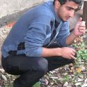 ���������� ������, ���� ������� Dakota, 38 ���, ������������ ��� ����� � ���������, c�������� ���������