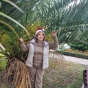 ���������� ������, ���� ������� �����, 62 ����, ������������ ��� ����� � ���������