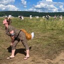  ,   , 40 ,   c 